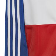 Detská tepláková súprava Adidas Essentials Červená Modrá