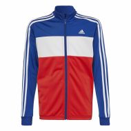 Detská tepláková súprava Adidas Essentials Červená Modrá