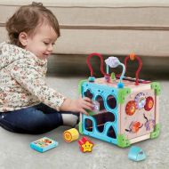 Centrum aktivít Vtech Baby 80-617105 Gaštanová Viacfarebná