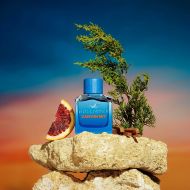 Pánsky parfum Hollister Canyon Sky EDT 100 ml