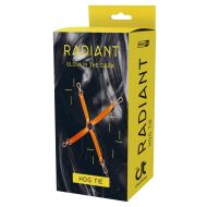 Hojdačka Dream Toys Radiant