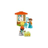 Playset Lego 10416 Caring for Animals at ther farm 74 Kusy