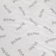 Spodná plachta Harry Potter Biela Sivá 140 cm posteľ