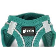 Postroj pre psa Gloria Trek Star 33,4-35 cm 51-52 cm Tyrkysový L