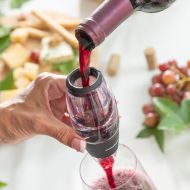 Prevzdušňovač vína s filtrom, stojanom a vreckom na prenášanie Wineir InnovaGoods