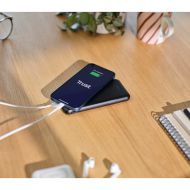 Powerbank Trust 24879