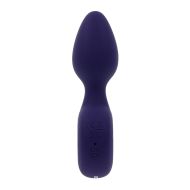 Vibrator Evolved Purpurová