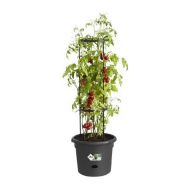 Kvetináč Elho Basics Tomato Čierna (Ø 33 cm)