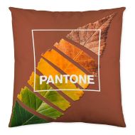 Poťah na vankúš Leaf Pantone Localization-B086JQ6G5Z Obojstranný 50 x 50 cm