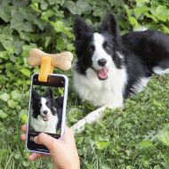 Selfie klip pre domácich miláčikov Pefie InnovaGoods