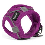 Postroj pre psa Gloria Air Mesh Trek Star Nastaviteľný Purpurová L (33,4-35 cm)