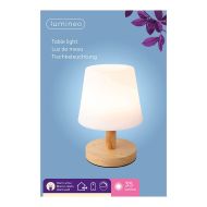 Stolná LED Lampa Lumineo 894386 Kov 22 cm Dobíjateľný