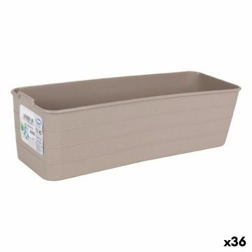 Organizér Confortime Jano 27 x 9 x 7,5 cm (36 Kusov) (27 x 9 x 7,5 cm)