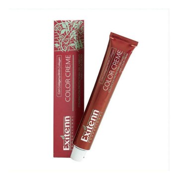 Trvalá farba Color Creme Exitenn Nº 562 Plum (60 ml)