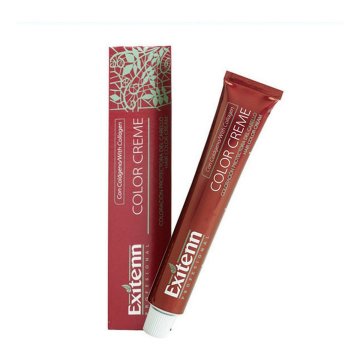 Trvalá farba Color Creme Exitenn Nº 12 (60 ml)