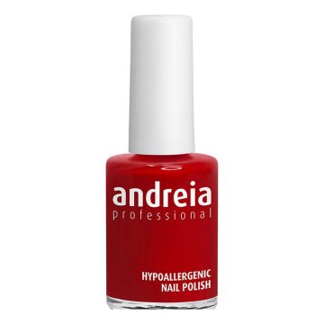 lak na nechty Andreia 0UVA1410 Nº 10 (14 ml)