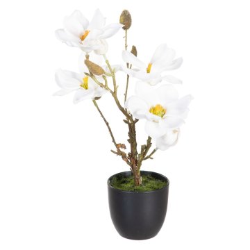 Okrasná rastlina Polyester Polyetylén Železo 22 x 22 x 38 cm Magnolia