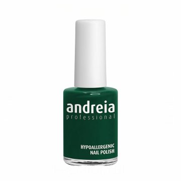 Lak na nechty Andreia Professional Hypoallergenic Nº 04 (14 ml)