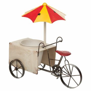 Kvetináč Alexandra House Living Tricycle Železo 16 x 37 x 34 cm