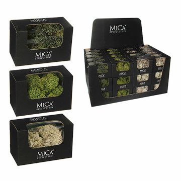 Okrasná rastlina Mica Decorations 50 g Mach