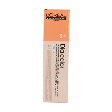 Kapilárna maska L'Oreal Professionnel Paris Dia Color 60 ml