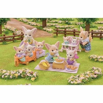 Playset Sylvanian Families 5698 Piknik